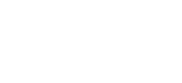 METROPICA logo